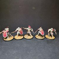 Warhammer aos Vindictors pro-painted