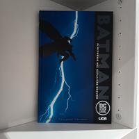 Batman Il Ritorno del Cavaliere Oscuro 