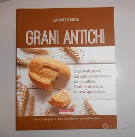 Grani antichi, Cibo vitale, La sfida di Sekem