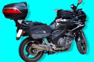 yamaha TDM 900