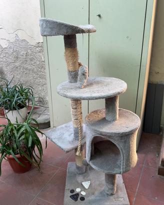 Albero tiragraffi