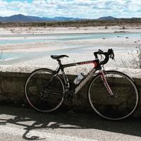 Bottecchia bdc