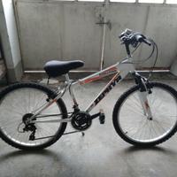 Bicicletta MTB bike"Zephyr Evolution" cerchi da 24