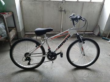 Bicicletta MTB bike"Zephyr Evolution" cerchi da 24