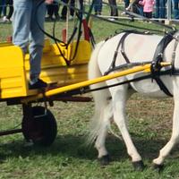 Carretto per pony