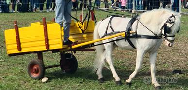 Carretto per pony