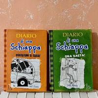 Diario Di Una Schiappa