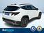 Immagine 7
