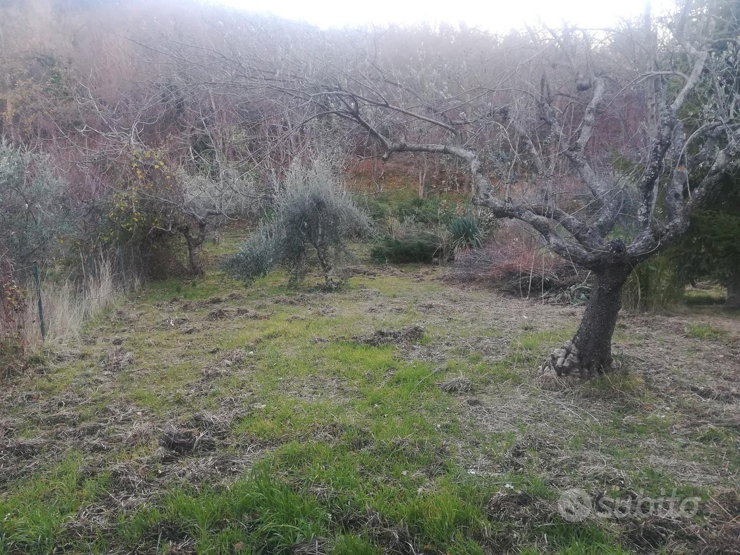 Rustico in Pretoro - Vista 6