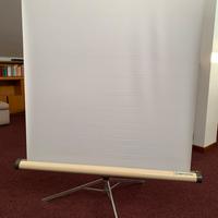 Schermo da proiezione