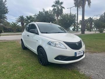 LANCIA Ypsilon 1.2 69 CV 5 porte Elefantino Blu