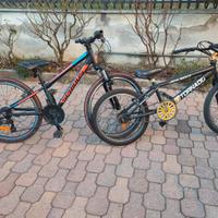 2 bici ragazzo/a MTB e BMX