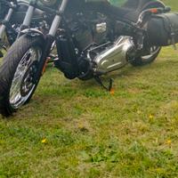 Harley Davidson fxbbs