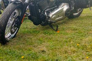 Harley Davidson fxbbs