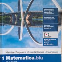matematica blu 