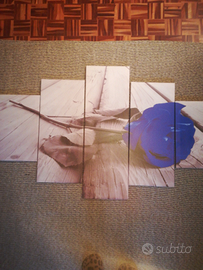 Stampa fotografica rosa blu