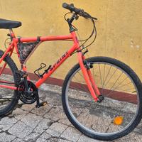 bicicletta bici uomo 26