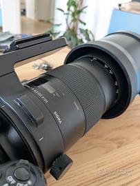 Sigma 150-600 sport per Nikon