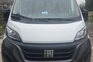 Fiat Ducato del 2021