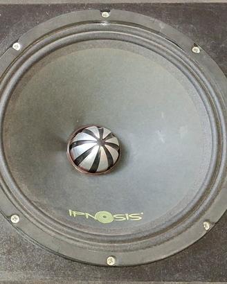 Coppia Woofer ipnosis da 25