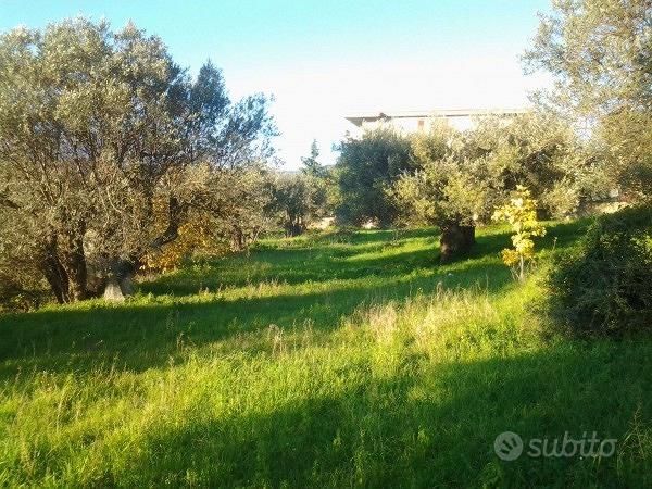 Terreno Edificabile - Vista 2