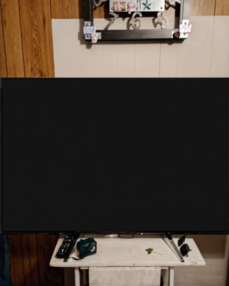 TV Panasonic 65"