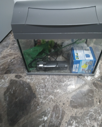 Aquario