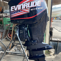 Evinrude ETEC 250 H.O