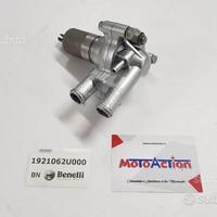 Pompa Acqua Completa Benelli Zenzero 350