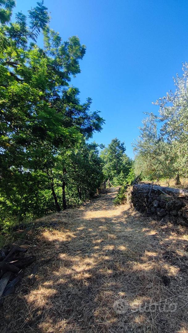 Terreno agricolo - Sant'Alfio - Vista 3