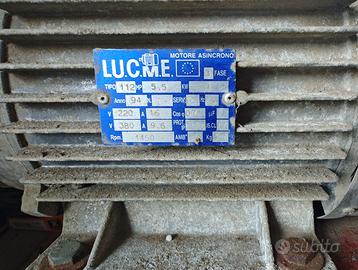 Biotrituratore elettrico