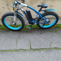 Bici elettrica