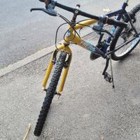 Bicicletta 