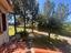Immagine 29