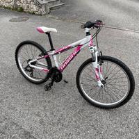 Bici 24”
