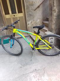 mountain bike Torpado Delta T740