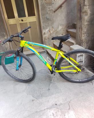 mountain bike Torpado Delta T740