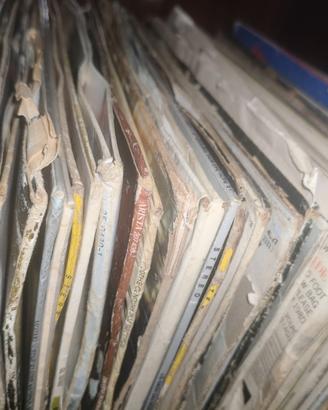 GRANDE COLLEZIONE DI VINILI