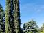 Immagine 11