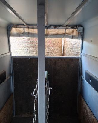 Trailer 2 posti trasporto cavalli