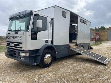 Iveco trasporto cavalli