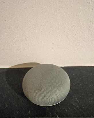 Google Home Mini