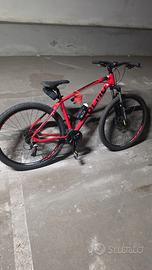 bicicletta