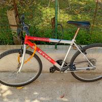 Bicicletta MTB