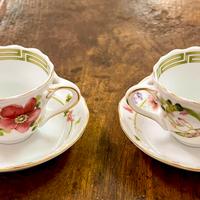 Versace Rosenthal tazzine caffè Flower fantasy