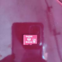 scheda memoria Nintendo Switch 