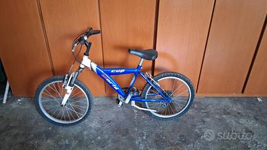 Bici da ragazzo