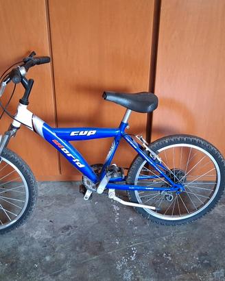 Bici da ragazzo