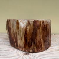 Tronchi (ceppi) portavasi e complementi di arredo;