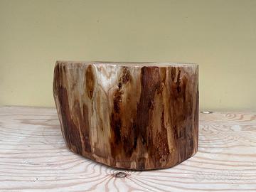 Tronchi (ceppi) portavasi e complementi di arredo;